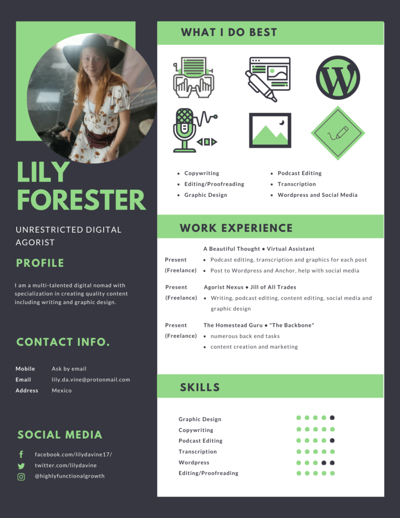 Orange and Gray Bordered Infographic Resume